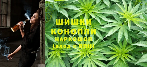 МДПВ Богородицк