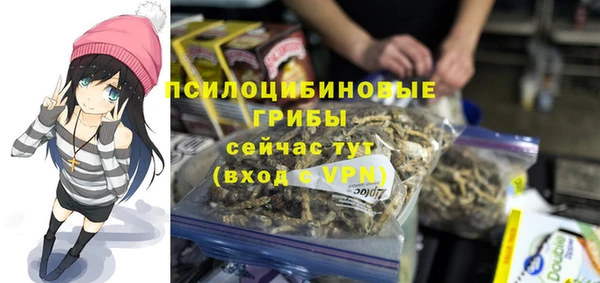 apvp Богданович