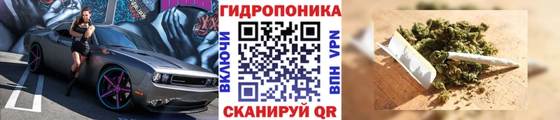 Купить где  Фролово  Шишки марихуана марихуана 